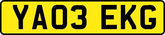 YA03EKG