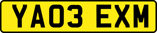 YA03EXM
