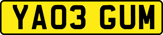 YA03GUM