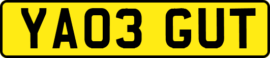 YA03GUT