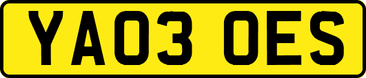 YA03OES