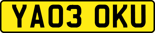 YA03OKU