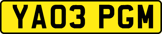 YA03PGM