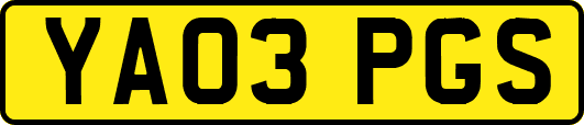 YA03PGS