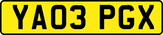 YA03PGX