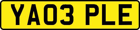YA03PLE