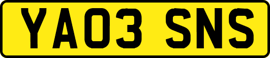 YA03SNS