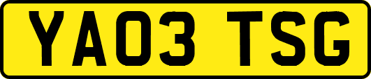 YA03TSG