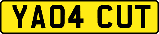 YA04CUT