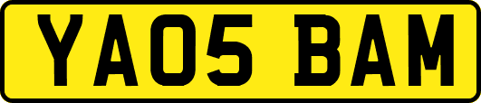YA05BAM