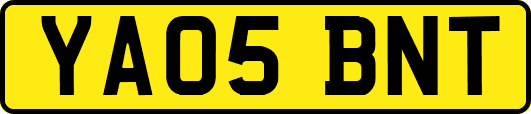 YA05BNT