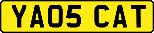 YA05CAT
