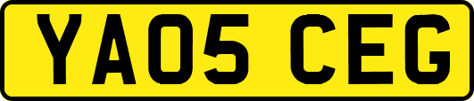 YA05CEG