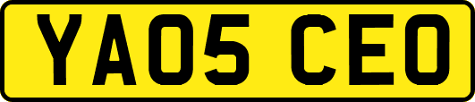 YA05CEO