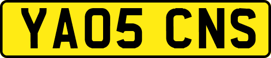 YA05CNS