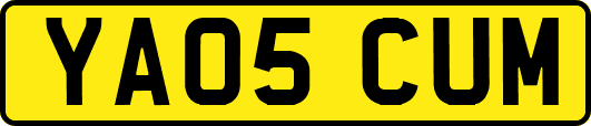 YA05CUM