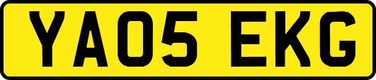 YA05EKG