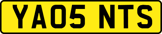YA05NTS