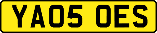 YA05OES