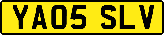 YA05SLV