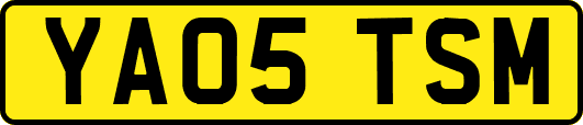 YA05TSM