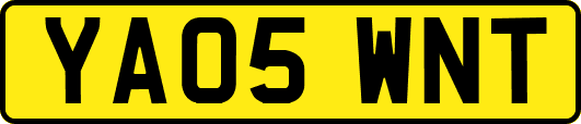 YA05WNT