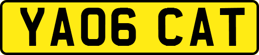 YA06CAT