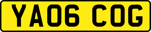 YA06COG