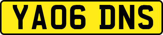 YA06DNS