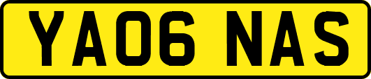 YA06NAS
