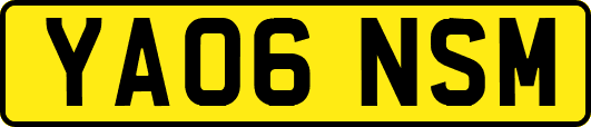 YA06NSM