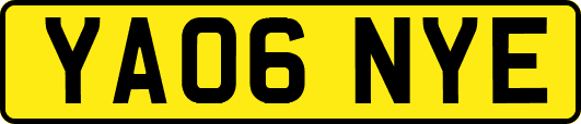 YA06NYE