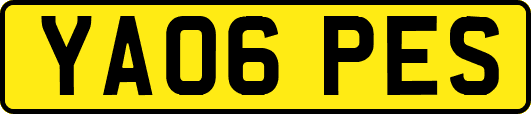 YA06PES