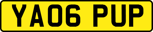 YA06PUP