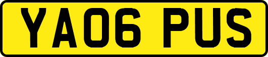 YA06PUS