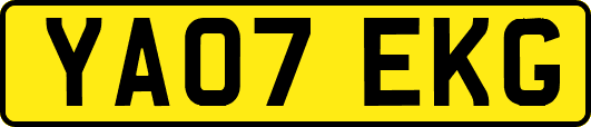 YA07EKG