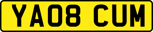 YA08CUM