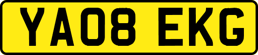 YA08EKG