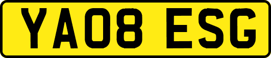 YA08ESG