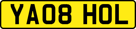 YA08HOL