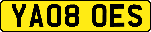 YA08OES