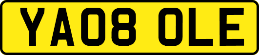 YA08OLE