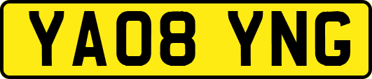YA08YNG