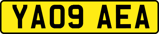 YA09AEA