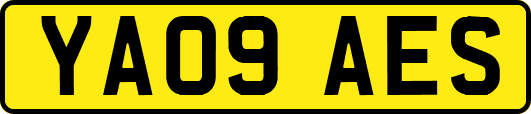 YA09AES