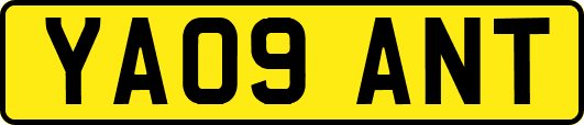 YA09ANT