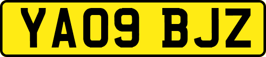 YA09BJZ