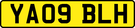 YA09BLH