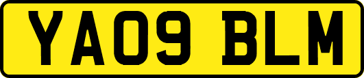 YA09BLM