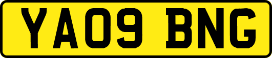 YA09BNG
